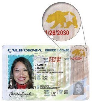 شعار النجمة والدب في رخصة REAL ID كاليفورني